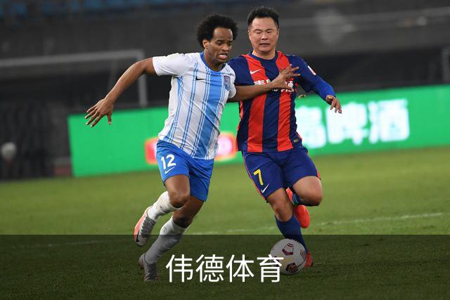 伟德体育公司介绍